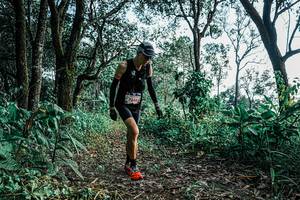 BIB: 
                            <button type="button" onclick="openModal(25660032)" class="btn btn-primary btn-sm float-right btn-popup" data-toggle="modal" data-target=".modal-high-quality">
                        <i class="fas fa-shopping-cart"></i> Add to Cart
                    </button>
                                            <button type="button" onclick="isThisMe(25660032, true)" class="btn btn-success btn-sm float-right btn-popup btn-isme hidden" data-toggle="tooltip" data-placement="bottom" title="นี่คือรูปของคุณใช่ไหม คลิกที่นี่เพื่อเอาเข้าอัลบั้ม">
                        <i class="fas fa-plus"></i> Add to album
                    </button>
                    <button type="button" onclick="isThisMe(25660032, false)" class="btn btn-warning btn-sm float-right btn-popup btn-isnotme hidden">
                        <i class="fas fa-ban"></i> Remove from album
                    </button>